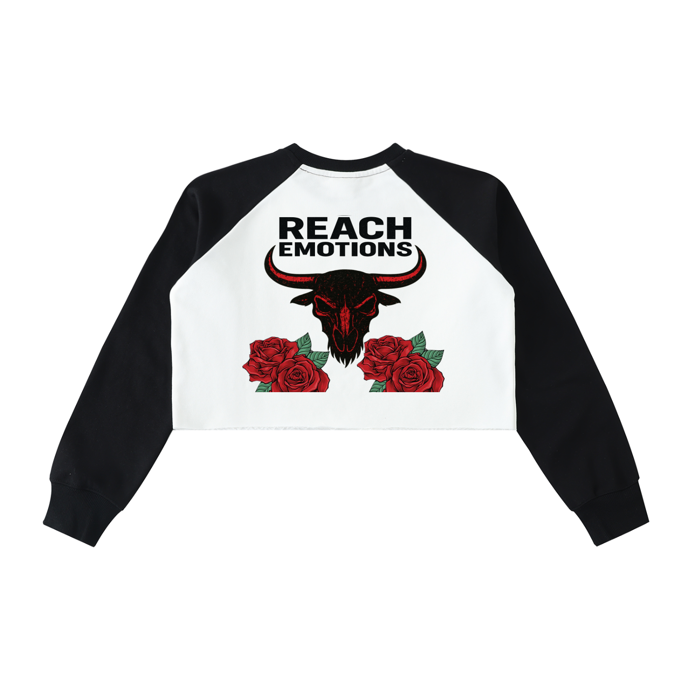Raw-Hem Color-Block Raglan Crop Sweatshirt